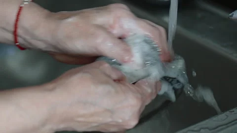 Hands scrubbing kitchen sink strainer with sponge and soap under running water Stock Footage 316630798