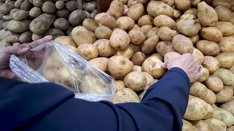 Hands selecting potatoes in a supermarket Stock Footage 310742822