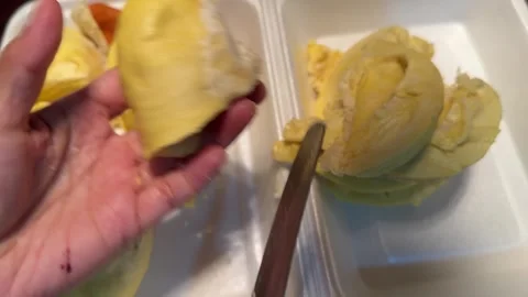 Hands Separating Durian Flesh From Seed Stock Footage 336708907