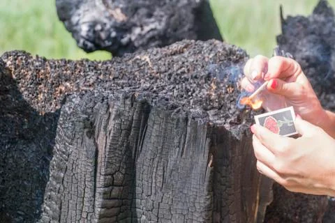 Hands set fire to a tree Stock Photos