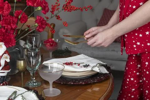 Hands setting festive dining table with plates, gold fork anf knife, red flowers Stock Photos
