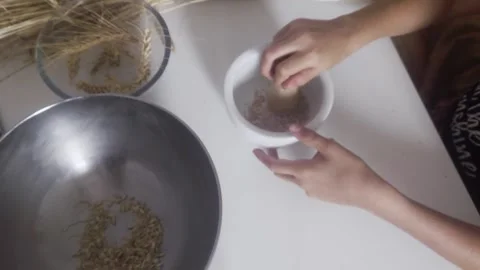 Hands Shaking Ceramic Mortar to Sift Wheat for Waldorf Practical Farming Lesson Stock Footage 341878415
