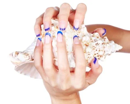 Hands with shell Stock Photos