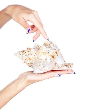 Hands with shell Stock Photos