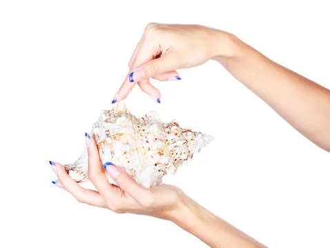 Hands with shell Stock Photos