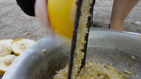 Hands shredding squashes vegetables with old metal grater for domestic animal Stock Footage 69744489
