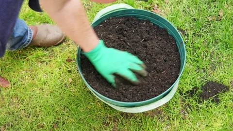 Hands sieving dark course compost through a metal strainer, preparing compo.. Stock Footage 333125877