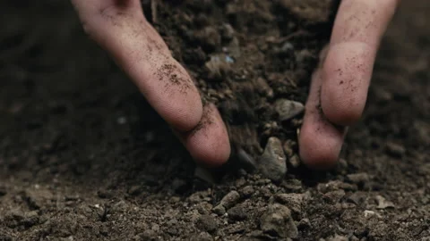 Hands sifting the dry soil. Drought concept Stock Footage 170319314
