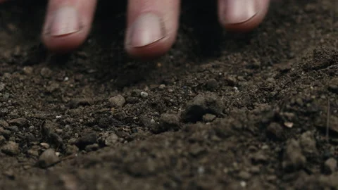 Hands sifting the dry soil. Drought concept. Video stock 172245298