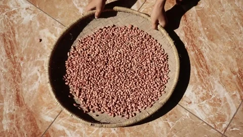 Hands sifting peanuts on a bamboo tray. 库存影片 330829497