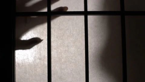 Hands silhouette shadow horizontal Stock Footage 91603299