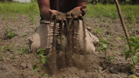 Hands in the soil Video stock 272993036