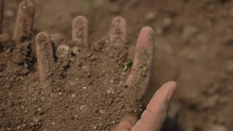 Hands in the soil Video stock 272993390