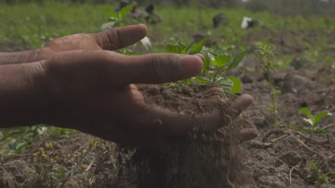 Hands in the soil Video stock 272995391