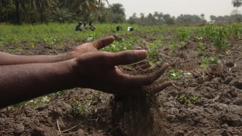 Hands in the soil Video stock 272996049