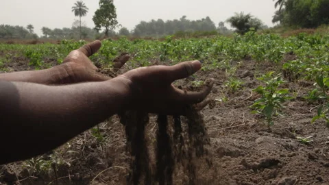 Hands in the soil Video stock 272996595