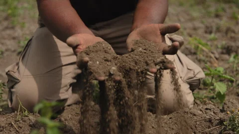 Hands in the soil Video stock 272997192