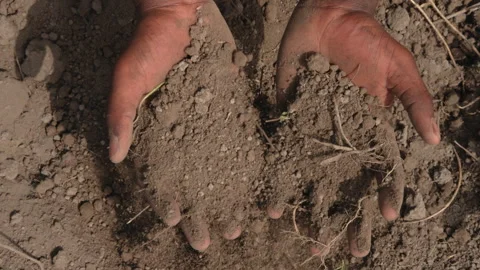 Hands in the soil Video stock 273110369