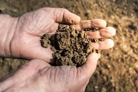 Hands with soil Stock Photos