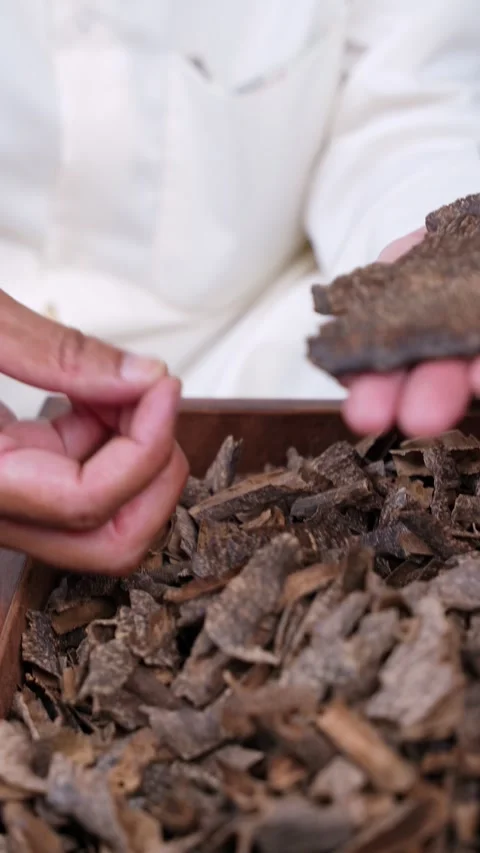 Hands Sorting Agarwood Oud Pieces Stock-Footage 337441015