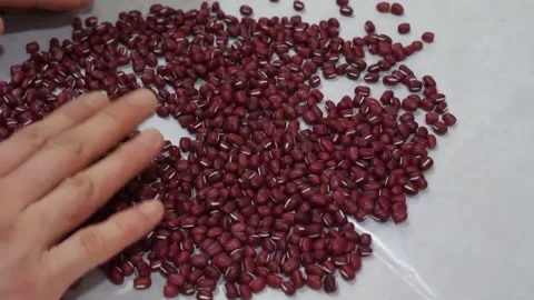 Hands Sorting Raw Red Adzuki Beans On White Parchment Paper Stock Footage 345292314