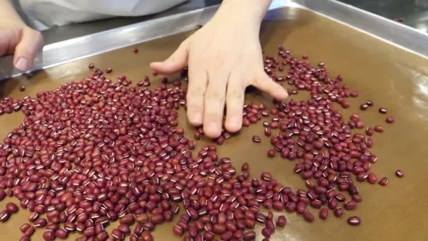 Hands Sorting Red Adzuki Beans on Selection Table Stock-Footage 345293684