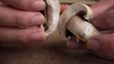 Hands splitting mushroom texture in kitchen preparation Stockbeeldmateriaal 333273664