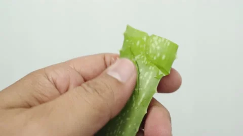 Hands squeezing the Aloe vera gel from green aloe vera leaf. Stock Footage 232940044