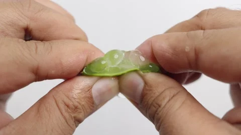 Hands squeezing the Aloe vera gel from green aloe vera leaf. Stock Footage 232940046