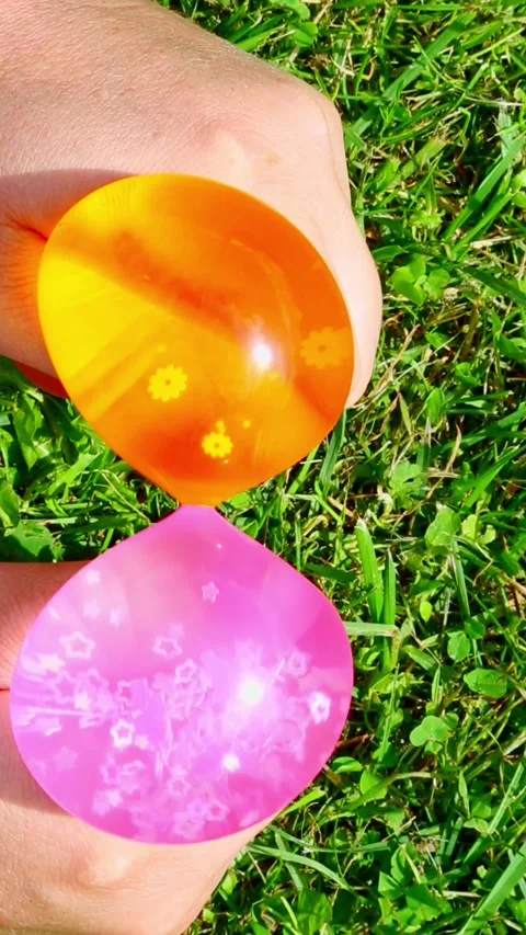 Hands squeezing orange and pink translucent water balloons outdoors Stock Footage 319904807
