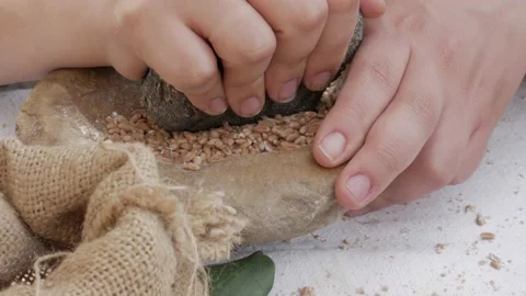Hands with stone to grind grain seeds into powder in a mortar Stock Footage 195515662