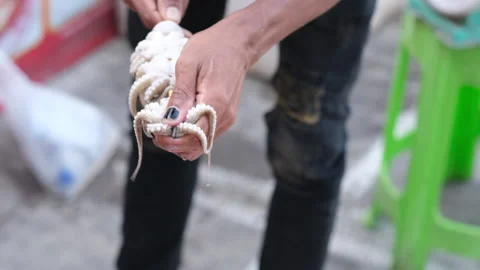 Hands stringing small raw octopuses on a skewer for cooking. Street food. Stock Footage 234210583