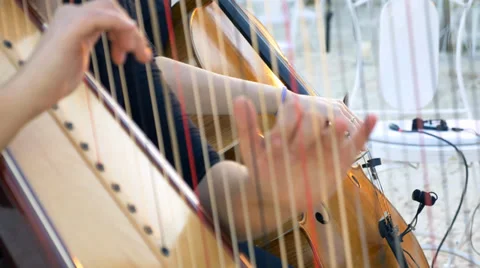 Hands strings harpist Stock Footage 39653643