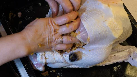 Hands Stuffing Raw Turkey. Food preparation for Thanksgiving. Close-up isolated. 動画素材 129100258