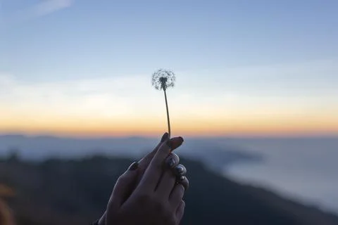 Hands on sunset Stock Photos