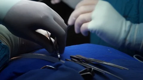 The hands of a surgeon Stock Footage 127702152