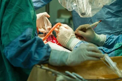 Hands of surgeons with tools. Stock Photos