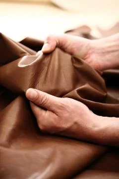 Hands tailor to check the quality of the material Stock Photos