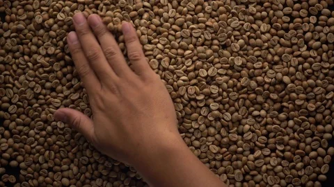 A hands take and spewing coffee beans Video stock 116240560