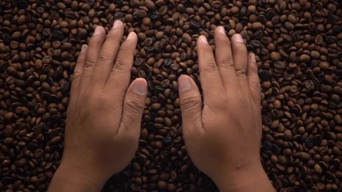 A hands take and spewing coffee beans Video stock 116240843