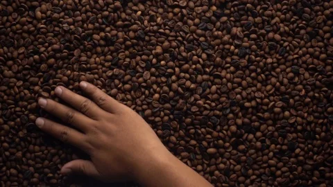 A hands take and spewing coffee beans Video stock 116242518