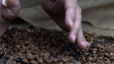 A hands take and spewing coffee beans Video stock 116291434