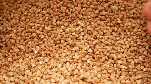 Hands take dry buckwheat, closeup Stock Footage 107389404