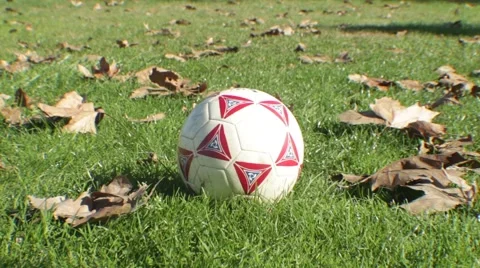 Hands Take Soccer Ball 3 Stock Footage 45434533