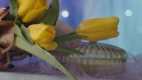 Hands taking a bouquet of tulips Stock Footage 264887288