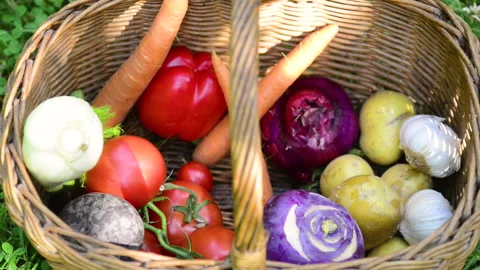Hands taking fresh vegetables from a wicker basket 動画素材 164468242