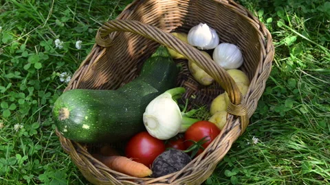 Hands taking fresh vegetables from a wicker basket Stock Footage 164468634