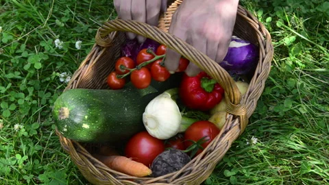 Hands taking fresh vegetables from a wicker basket Stock Footage 164468779