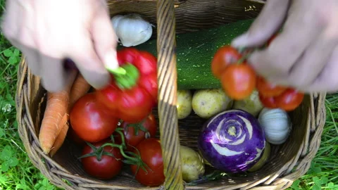Hands taking fresh vegetables from a wicker basket Stock Footage 164469244
