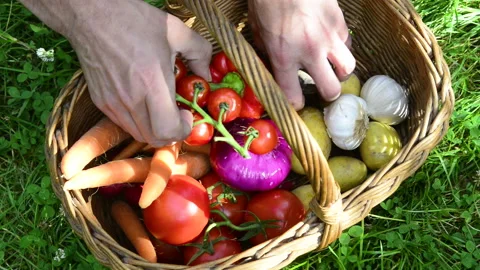 Hands taking fresh vegetables from a wicker basket Stock Footage 164469730